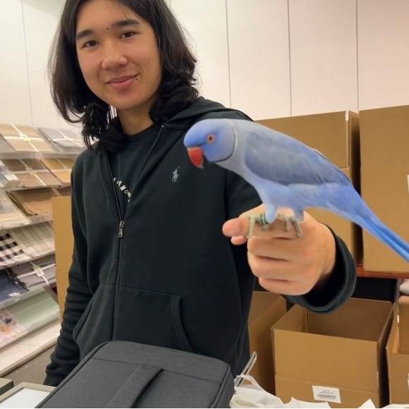 Meet your Posher, James - Picture 2 of 4